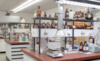 lab
